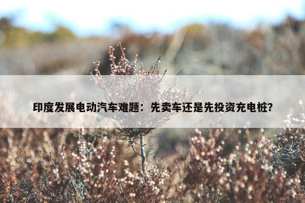 印度发展电动汽车难题：先卖车还是先投资充电桩？