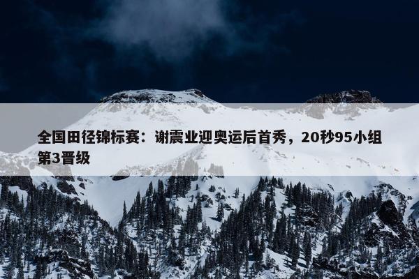 全国田径锦标赛：谢震业迎奥运后首秀，20秒95小组第3晋级