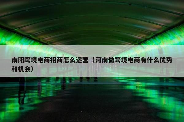 南阳跨境电商招商怎么运营（河南做跨境电商有什么优势和机会）