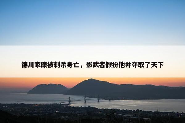 德川家康被刺杀身亡，影武者假扮他并夺取了天下