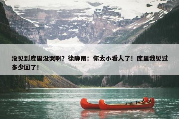 没见到库里没哭啊？徐静雨：你太小看人了！库里我见过多少回了！