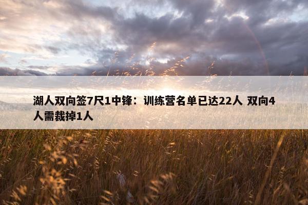 湖人双向签7尺1中锋：训练营名单已达22人 双向4人需裁掉1人