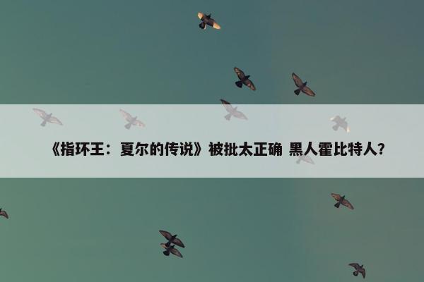 《指环王：夏尔的传说》被批太正确 黑人霍比特人？