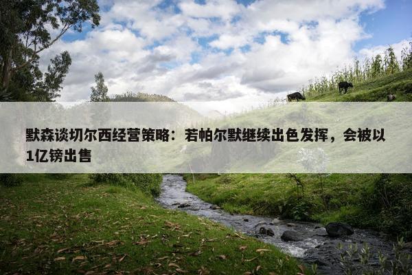 默森谈切尔西经营策略：若帕尔默继续出色发挥，会被以1亿镑出售