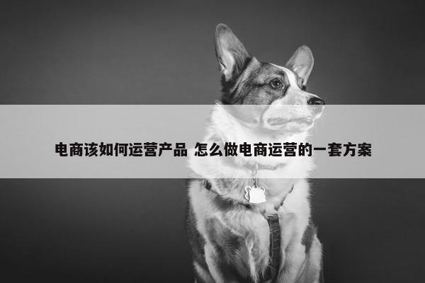 电商该如何运营产品 怎么做电商运营的一套方案