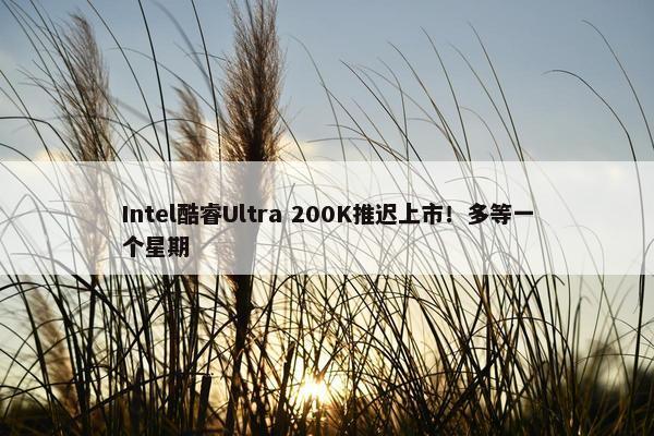 Intel酷睿Ultra 200K推迟上市！多等一个星期