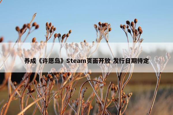 养成《许愿岛》Steam页面开放 发行日期待定