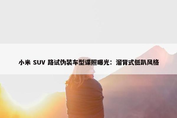 小米 SUV 路试伪装车型谍照曝光：溜背式低趴风格