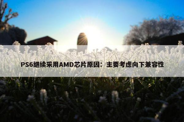 PS6继续采用AMD芯片原因：主要考虑向下兼容性