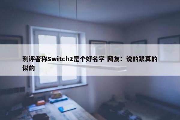 测评者称Switch2是个好名字 网友：说的跟真的似的