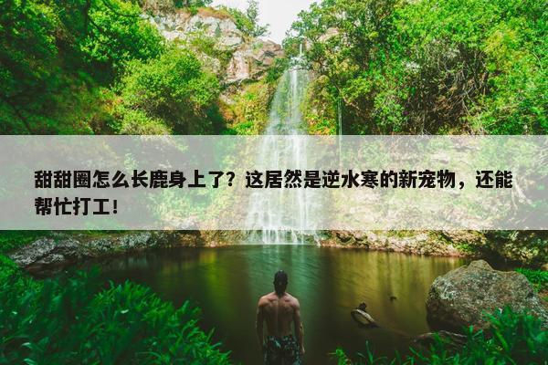 甜甜圈怎么长鹿身上了？这居然是逆水寒的新宠物，还能帮忙打工！