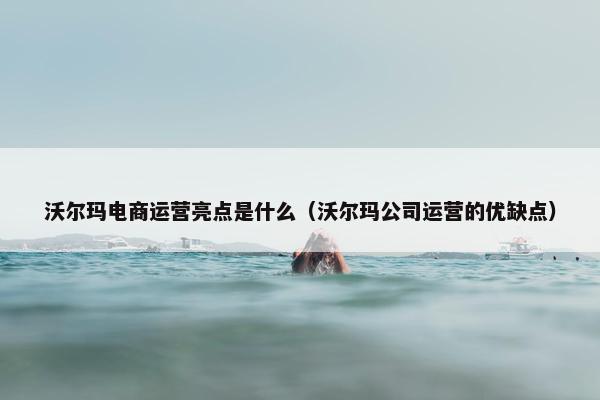 沃尔玛电商运营亮点是什么（沃尔玛公司运营的优缺点）