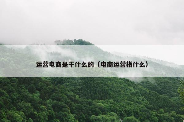 运营电商是干什么的（电商运营指什么）