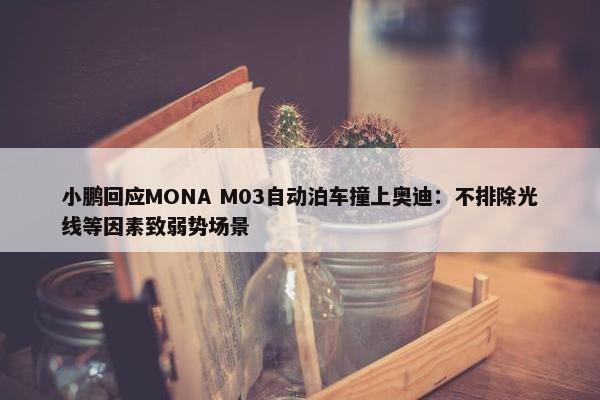 小鹏回应MONA M03自动泊车撞上奥迪：不排除光线等因素致弱势场景