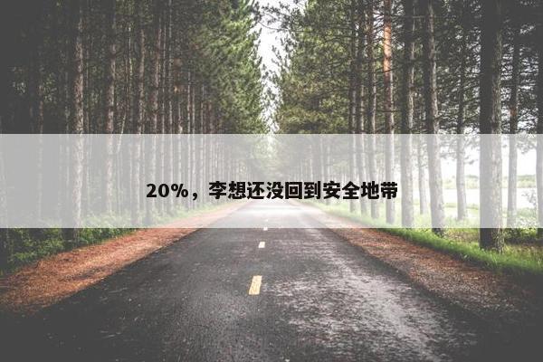 20%，李想还没回到安全地带