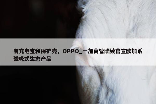 有充电宝和保护壳，OPPO_一加高管陆续官宣欧加系磁吸式生态产品