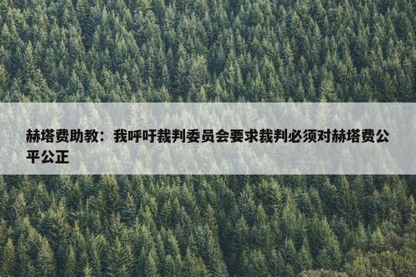 赫塔费助教：我呼吁裁判委员会要求裁判必须对赫塔费公平公正