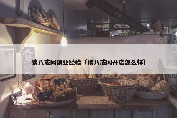 猪八戒网创业经验（猪八戒网开店怎么样）