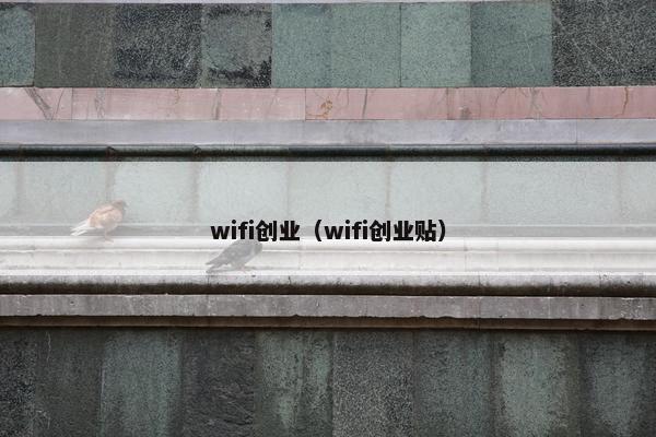 wifi创业（wifi创业贴）