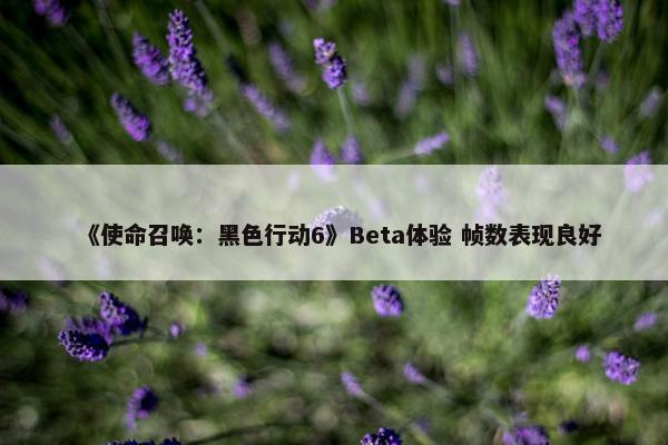 《使命召唤：黑色行动6》Beta体验 帧数表现良好