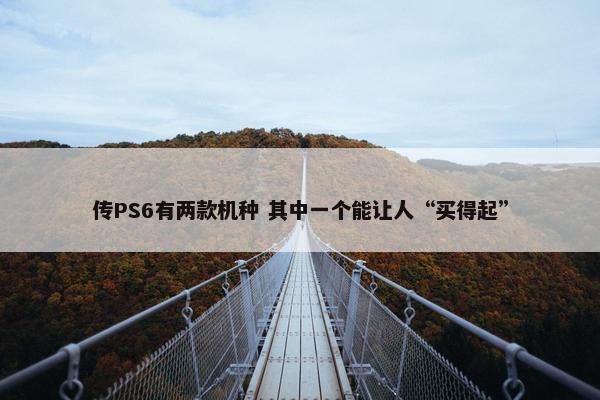 传PS6有两款机种 其中一个能让人“买得起”