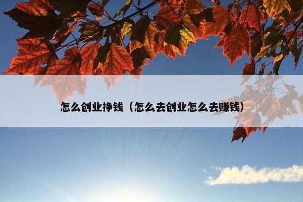 怎么创业挣钱（怎么去创业怎么去赚钱）