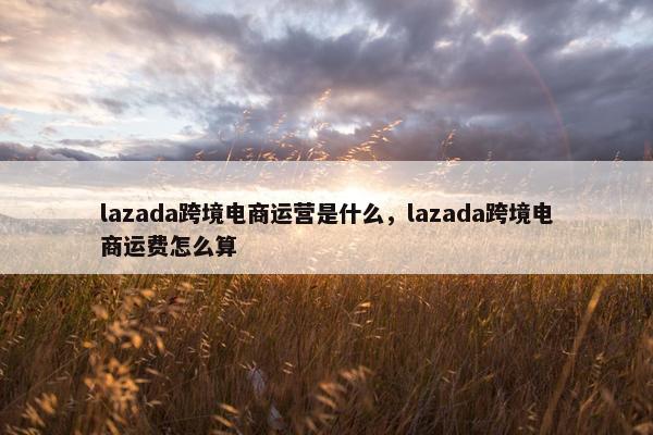 lazada跨境电商运营是什么，lazada跨境电商运费怎么算