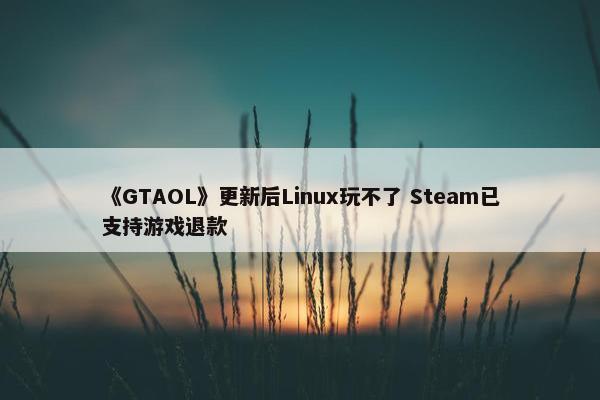 《GTAOL》更新后Linux玩不了 Steam已支持游戏退款