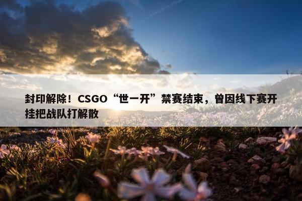 封印解除！CSGO“世一开”禁赛结束，曾因线下赛开挂把战队打解散