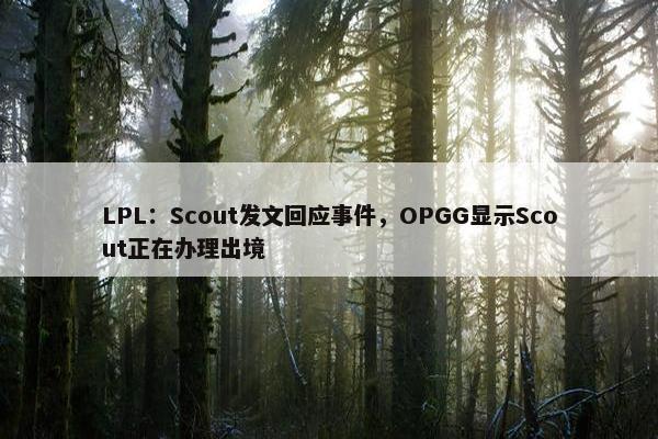 LPL：Scout发文回应事件，OPGG显示Scout正在办理出境