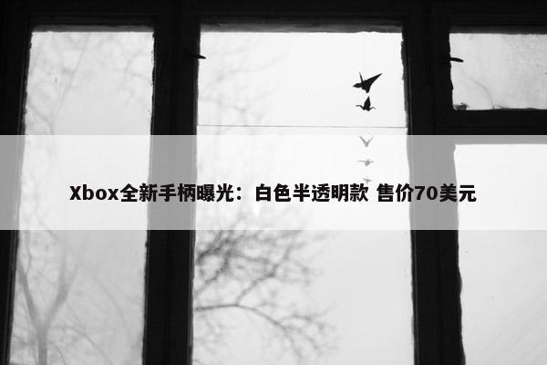 Xbox全新手柄曝光：白色半透明款 售价70美元