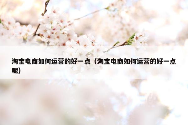 淘宝电商如何运营的好一点（淘宝电商如何运营的好一点呢）