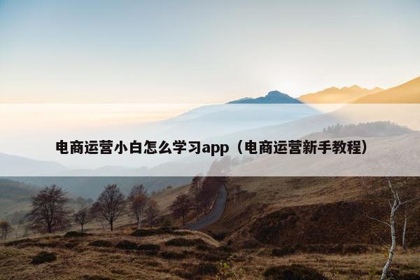 电商运营小白怎么学习app（电商运营新手教程）