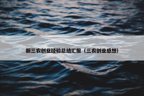 新三农创业经验总结汇报（三农创业感想）