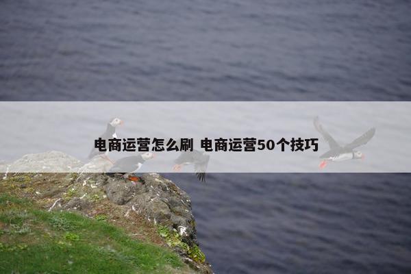 电商运营怎么刷 电商运营50个技巧