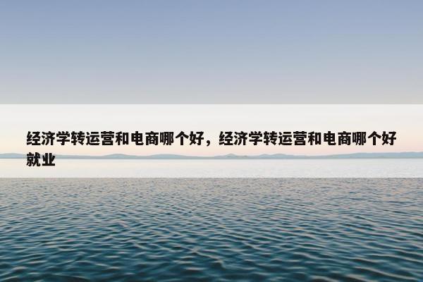 经济学转运营和电商哪个好，经济学转运营和电商哪个好就业