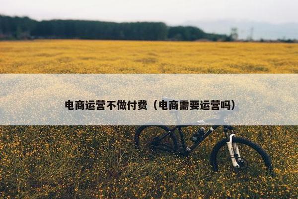 电商运营不做付费（电商需要运营吗）