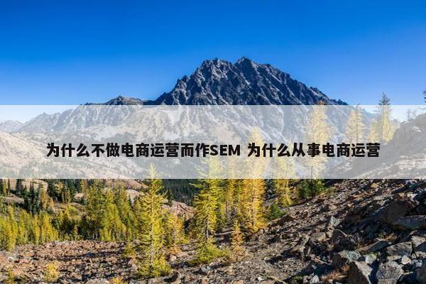 为什么不做电商运营而作SEM 为什么从事电商运营