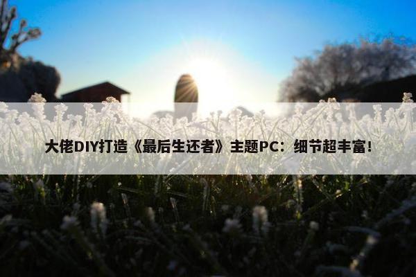 大佬DIY打造《最后生还者》主题PC：细节超丰富！