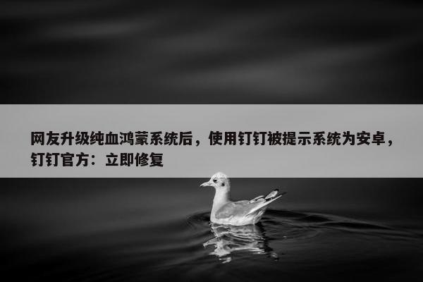 网友升级纯血鸿蒙系统后，使用钉钉被提示系统为安卓，钉钉官方：立即修复