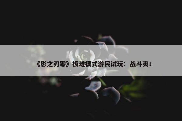 《影之刃零》极难模式游民试玩：战斗爽！