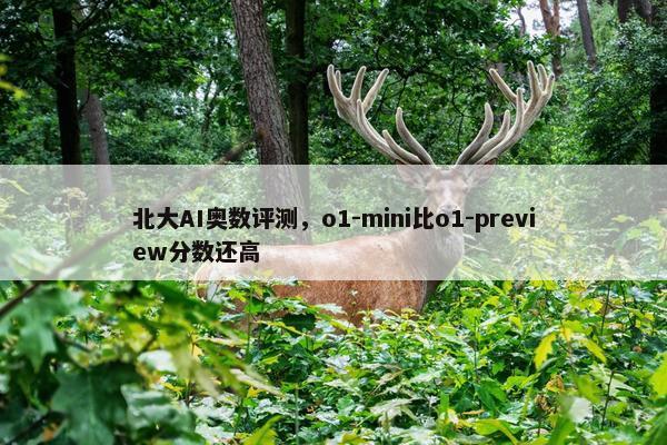 北大AI奥数评测，o1-mini比o1-preview分数还高