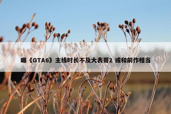 曝《GTA6》主线时长不及大表哥2 或和前作相当