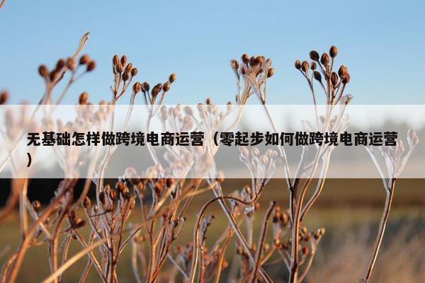 无基础怎样做跨境电商运营（零起步如何做跨境电商运营）