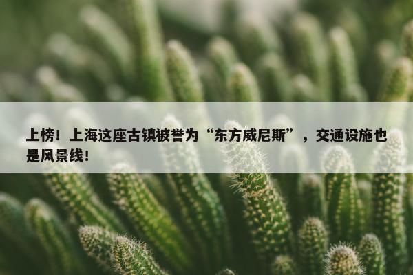 上榜！上海这座古镇被誉为“东方威尼斯”，交通设施也是风景线！