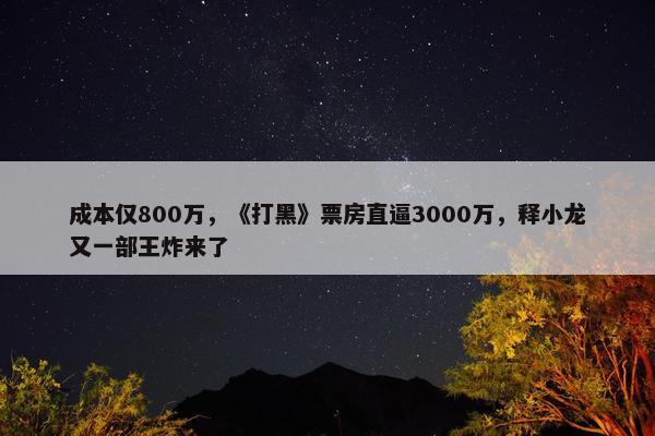 成本仅800万，《打黑》票房直逼3000万，释小龙又一部王炸来了