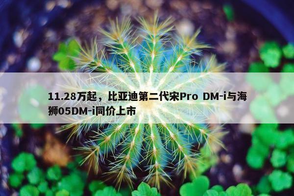 11.28万起，比亚迪第二代宋Pro DM-i与海狮05DM-i同价上市