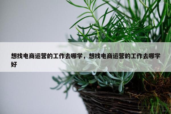 想找电商运营的工作去哪学，想找电商运营的工作去哪学好