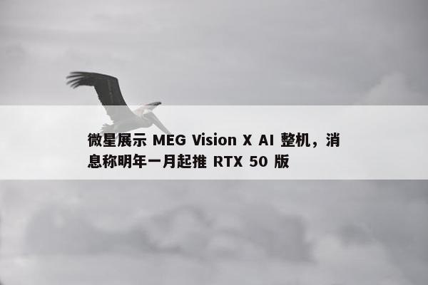 微星展示 MEG Vision X AI 整机，消息称明年一月起推 RTX 50 版