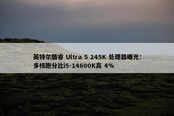 英特尔酷睿 Ultra 5 245K 处理器曝光：多核跑分比i5-14600K高 4%